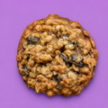 Oatmeal Rasin